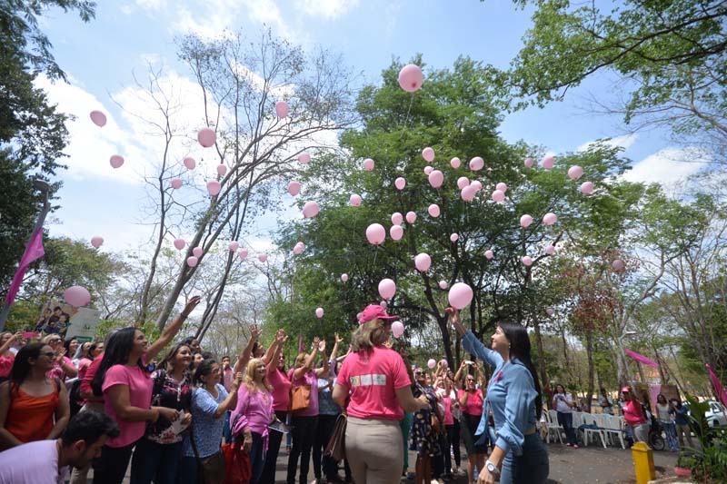Mulheres realizam plantio de mudas de ipÃªs para representar Outubro Rosa