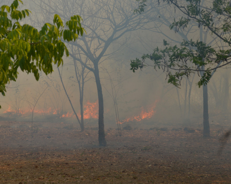 Piauí lança plano de prevenção e combate aos incêndios e queimadas. - (Arquivo O Dia)