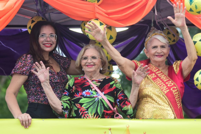 Caminhão homenageia a eterna Rainha do Carnaval da terceira idade - (Jailson Soares / O DIA)