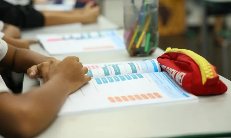 Escolas terão educação política e direitos da cidadania no currículo obrigatório; entenda