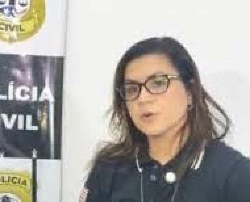 Delegada Lorena Alves, titular da Delegacia da Mulher de Timon - (Reprodução)