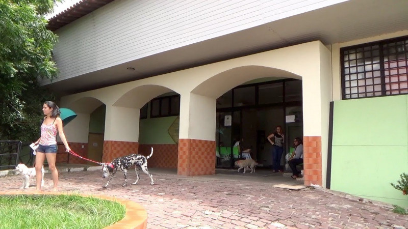Hospital Veterinário da UFPI suspende atendimento neste fim de semana em Teresina; saiba