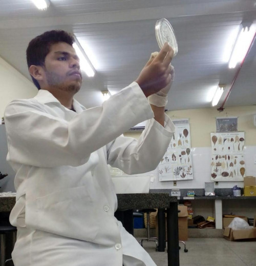 Pesquisadores da UFDPar descobrem nova espécie de fungo no Piauí; conheça