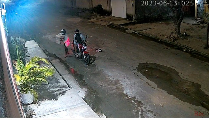 Câmeras de segurança flagram casal abandonando filhotes na porta de abrigo em Teresina - (Divulgação / Lar do Nando)