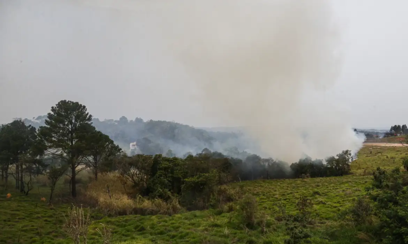 Queimadas em São Paulo: 46 cidades estão em alerta e duas pessoas já foram presas