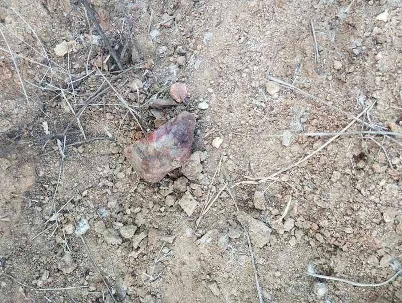 Homem é preso após tentar matar ex-companheira a pedradas em Paulistana