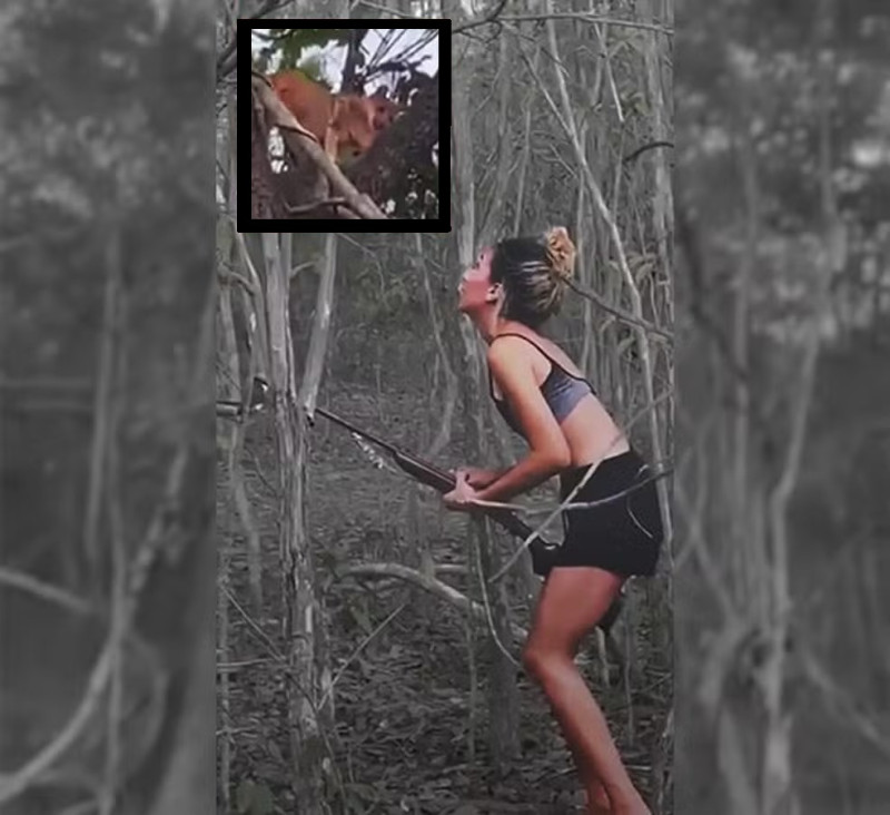 Vídeo de mulher matando onça foi gravado no Piauí, revela Ibama