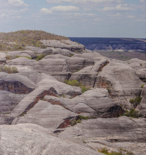 Parque Nacional Serra das Confusões  - ( Tiago Amaral)