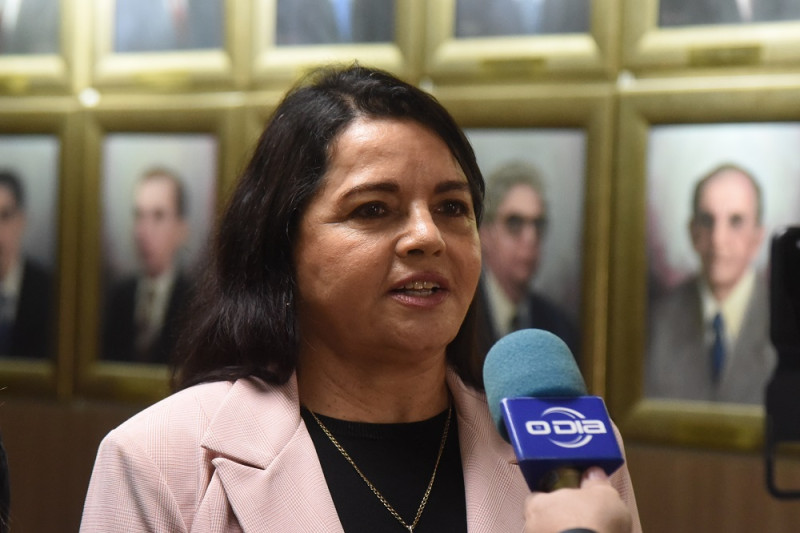 Teresa Britto, presidente do PV no Piauí - (Assis Fernandes/O DIA)