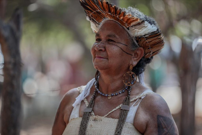 Dos municípios piauienses, a cidade de Piripiri se destaca com o maior número absoluto de indígenas - (Roberta Aline/MDS)