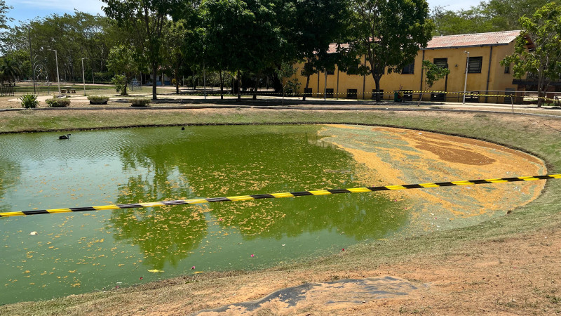 Lagoa do Parque da Cidadania é interditada após bactérias nocivas serem encontradas