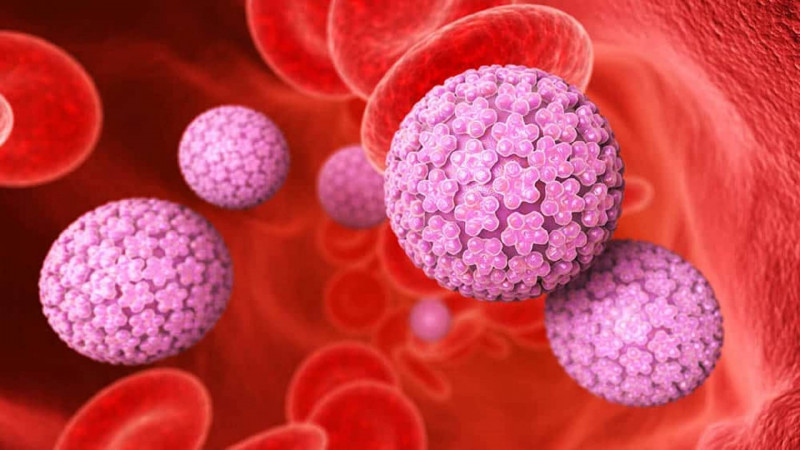O HPV é um vírus comum que infecta a pele e as membranas mucosas - (Reprodução)