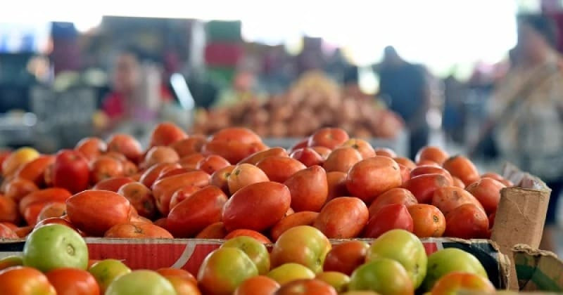 Frutas e verduras estão mais caras devido ao período chuvoso