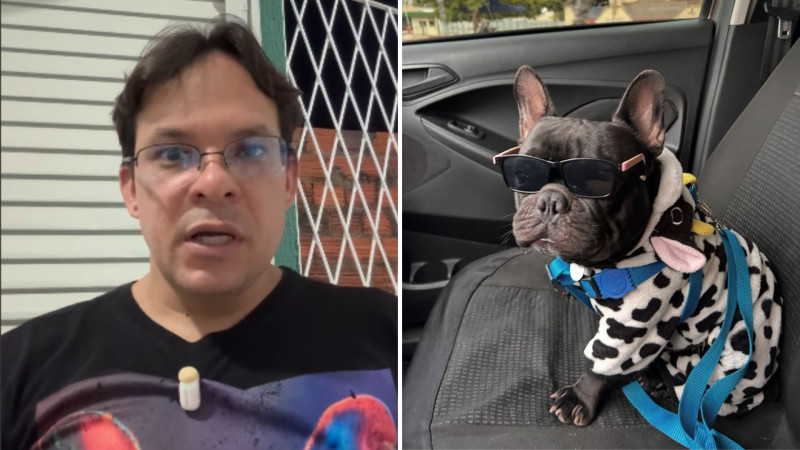 Motorista de app que levava cachorro buldogue em viagens é bloqueado por plataforma