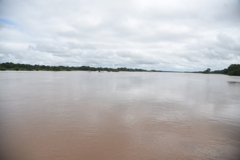 Nível do Rio Parnaíba deve apresentar elevação nas próximas horas - (Assis Fernandes/ODIA)