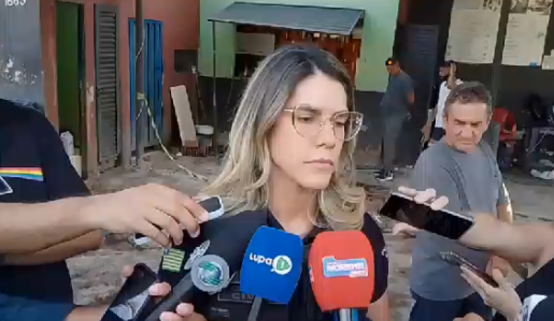 A delegada Nathalia Figueiredo é titular do DHPP - (Reprodução)