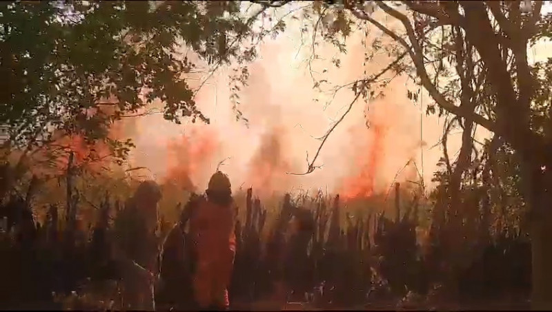 VÍDEO: Bombeiros enfrentam dificuldades para conter incêndio próximo a Serra das Confusões