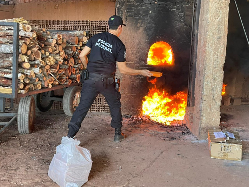 Quase meia tonelada de drogas foi incinerada em um dia no Piauí