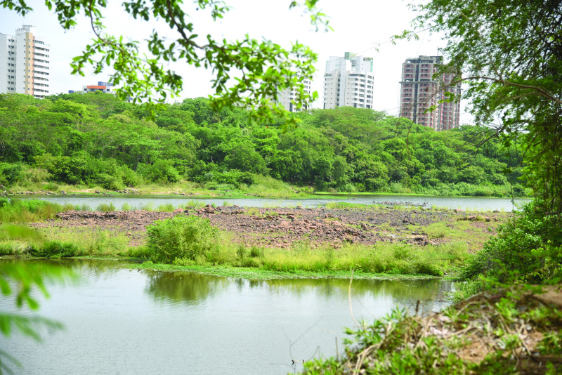 Floresta Fóssil do Rio Poti: um novo centro de pesquisa e educação ambiental