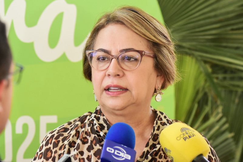 Jussara Lima, senadora piauiense pelo PSD - (Assis Fernandes / O DIA)