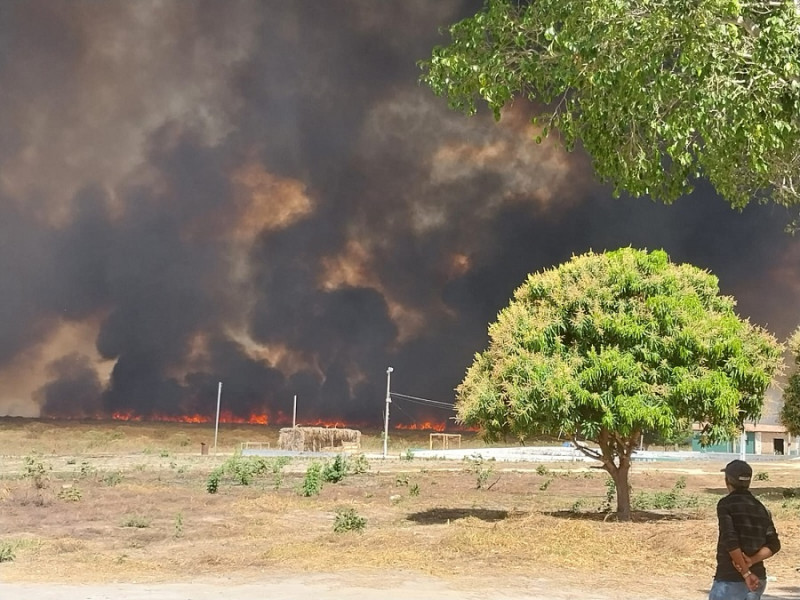 Focos de queimadas cresceu 50% no Piauí em 2023 - (Reprodução / Redes Sociais)