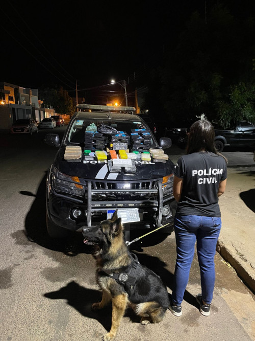Polícia apreende droga avaliada em meio milhão na cidade de Picos