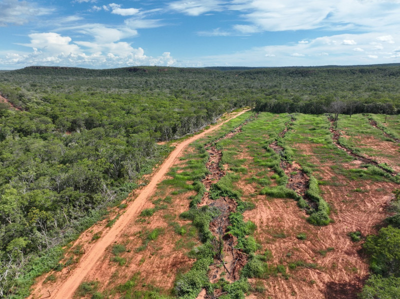 Desmatamento cresceu em quatro municípios do Piauí, aponta relatório