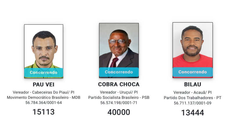 De "Pau Vei" a "Cobra Choca", veja nomes curiosos de candidatos no Piauí