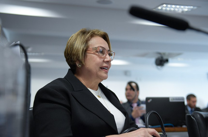 Combate ao feminicídio: Senadora piauiense quer expandir iniciativa do 'banco vermelho'