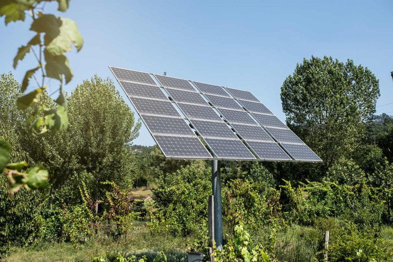 Energia solar: agricultores serão beneficiados com placas fotovoltaicas para sistemas de irrigação