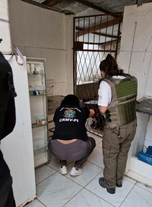 Falsos veterinários são presos suspeitos de fazerem castrações clandestinas em Teresina