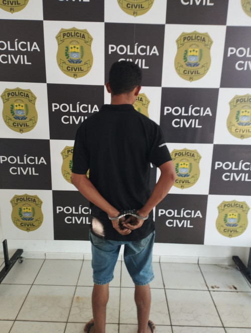 Operação Átria: mais de 150 pessoas são presas no Piauí por violência contra a mulher - (Divulgação/Polícia Civil)