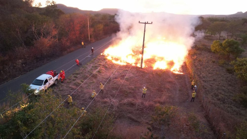 Inteligência artificial é usada para monitorar e prevenir incêndios no Piauí - (Reprodução)