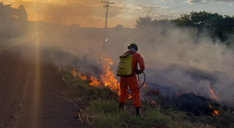 Somente este mês, o estado já registrou quase 3 mil focos de incêndio - (Divulgação/Corpo de Bomebeiros)