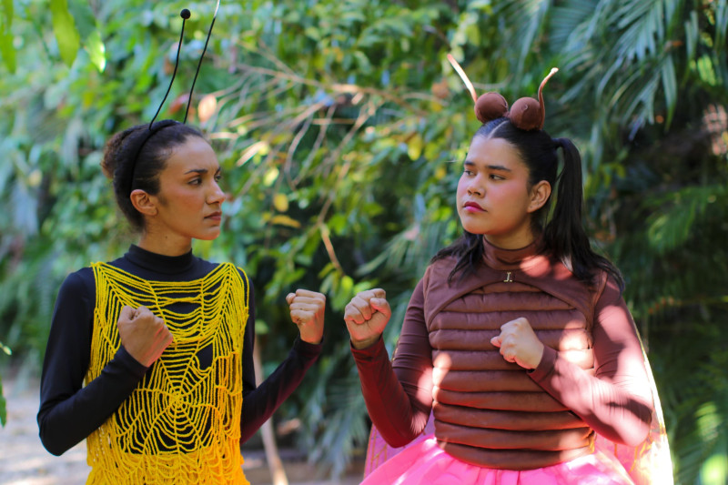 Grupo Teatro Piau estreia “Cigarra e Formiga” no Parque da Cidadania neste domingo (25)