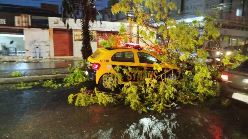 Árvore cai sobre viatura da Strans durante forte chuva em Teresina