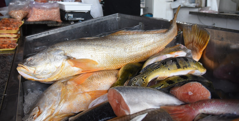 Peixe deve ser consumido pelo menos duas vezes na semana, diz nutricionista  - (Assis Fernandes/O Dia )