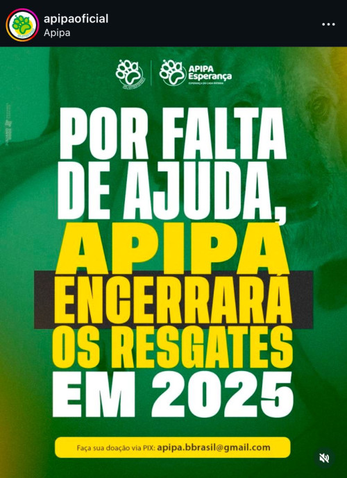 Por falta de ajuda, Apipa não realizará mais resgates em 2025