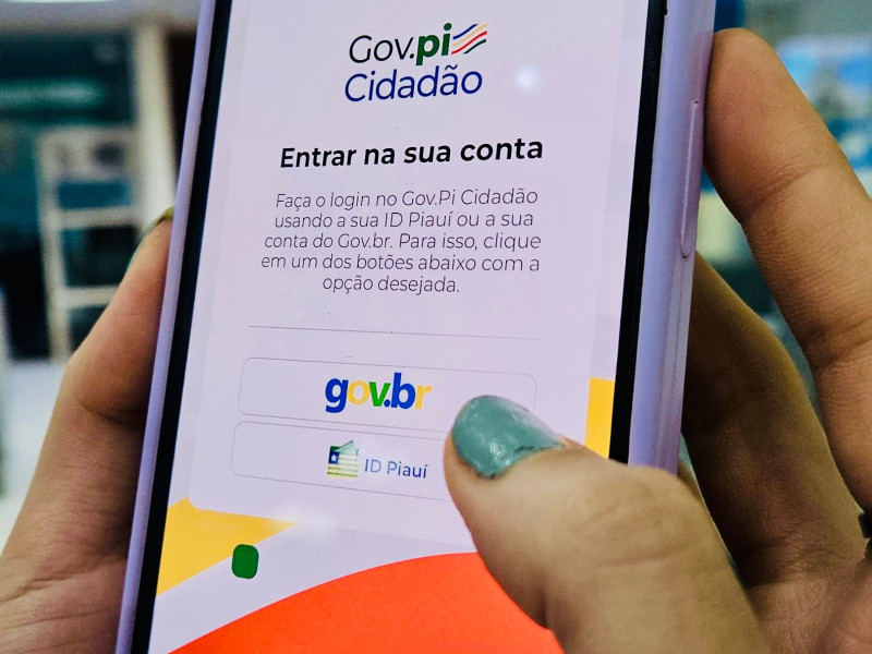 Para acessar o Gov.PI Cidadão, é preciso ter uma conta na plataforma do Governo Federal - (Jailson Soares/ODIA)