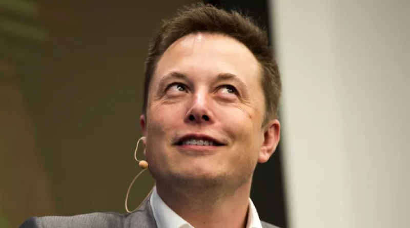 Além da Neuralink, bilionário é dono da Tesla e da SpaceX - (Divulgação)