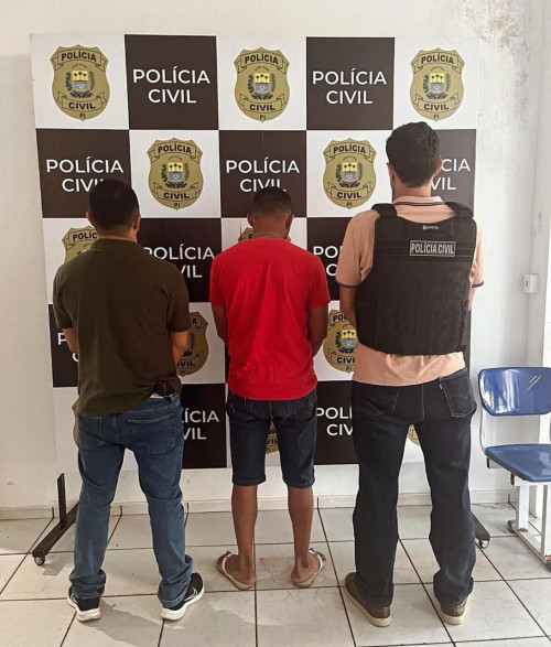 Operação Átria: mais de 150 pessoas são presas no Piauí por violência contra a mulher - (Divulgação/Polícia Civil)