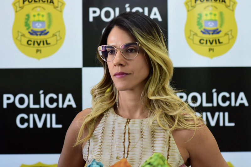 Delegada Nathália Figueiredo comenta sobre o caso - (Jailson Soares/O Dia)