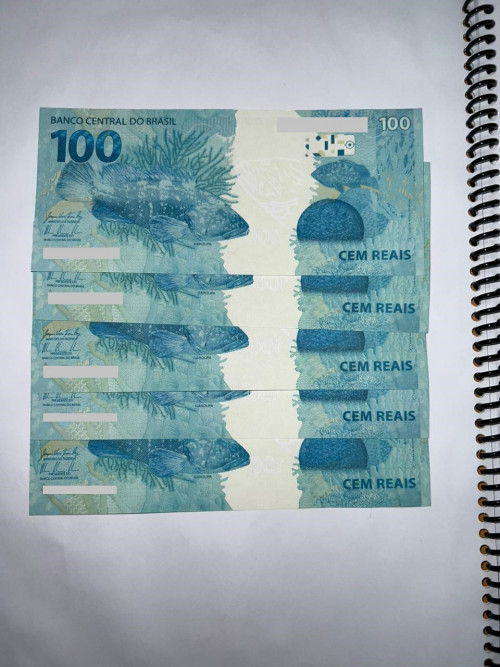 Notas de dinheiro falsas foram adquiridas do estado do Goiás - (Foto: Divulgação / PF )