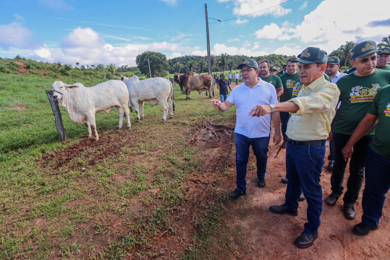 Piauí vê estímulo de mercado internacional e quer dobrar criação de gado