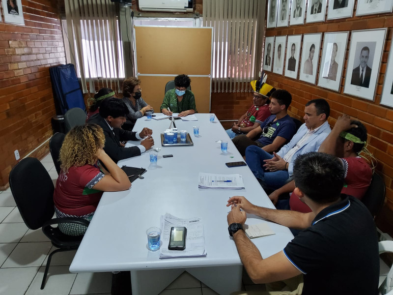 Reunião dos representantes indígenas com a Secretaria de Agricultura Familiar - (Arquivo Pessoal)