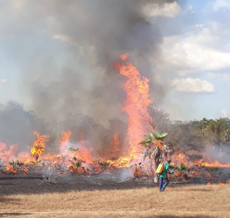 Queimadas próximo à rede - (Divulgação / Brigada de Incêndio de Campo Maior )