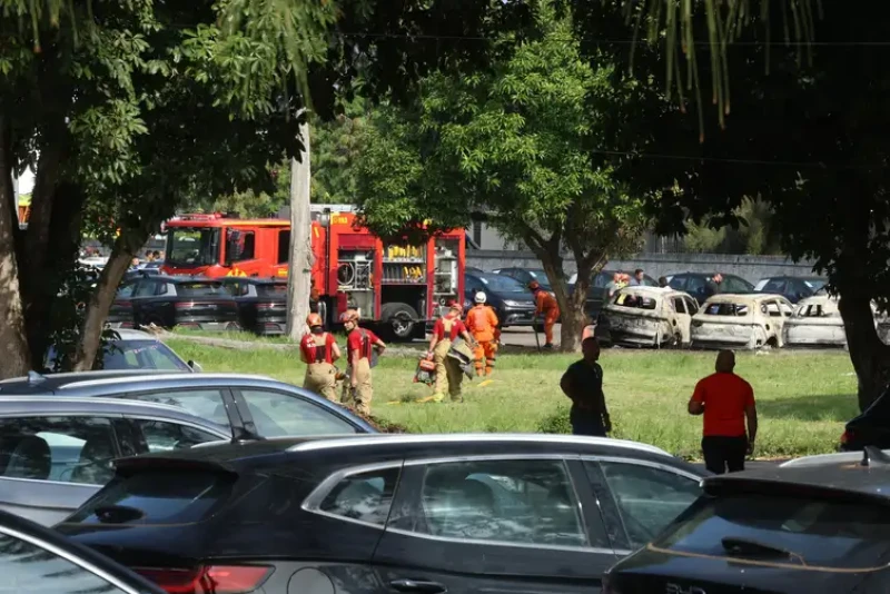 Corpo de Bombeiros foi acionado. - (Tomaz Silva / Agência Brasil )