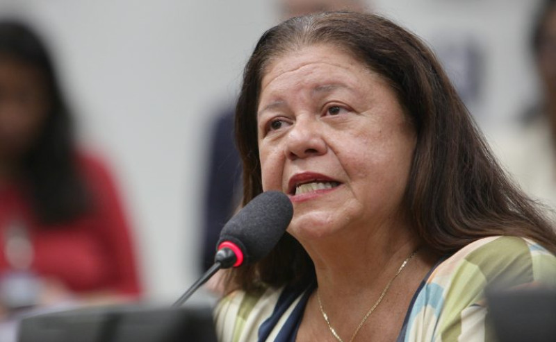 Laura Carneiro, relatora na CCJ. - (Antonio Araújo / Câmara dos Deputados )