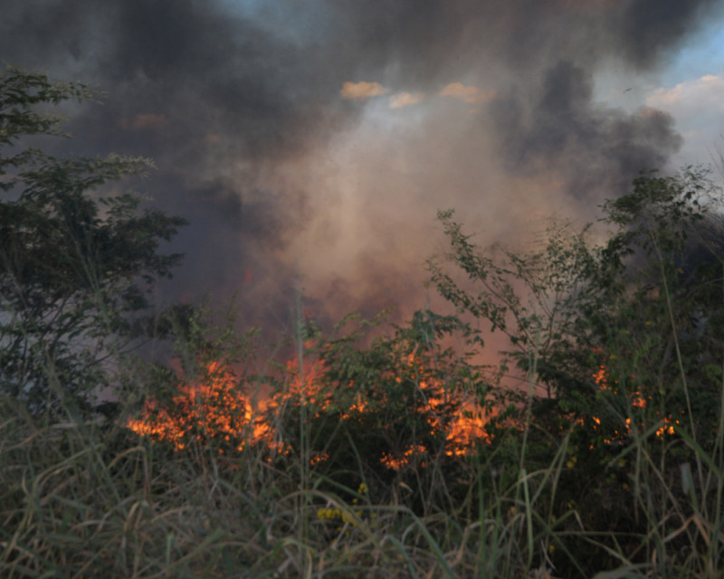 No Piauí, queimadas deixam quase duas mil famílias sem energia elétrica