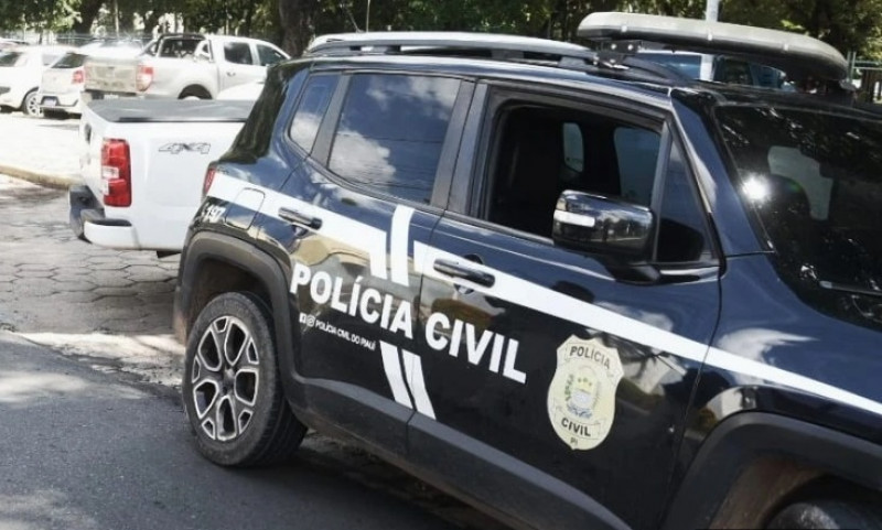 Polícia Civil prende suspeito de matar o pai em Joaquim Pire - (Divulgação / Polícia Civil - PI)